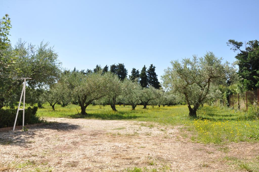 Gite Du Mas Des Oliviers Mezoargues Exterior photo